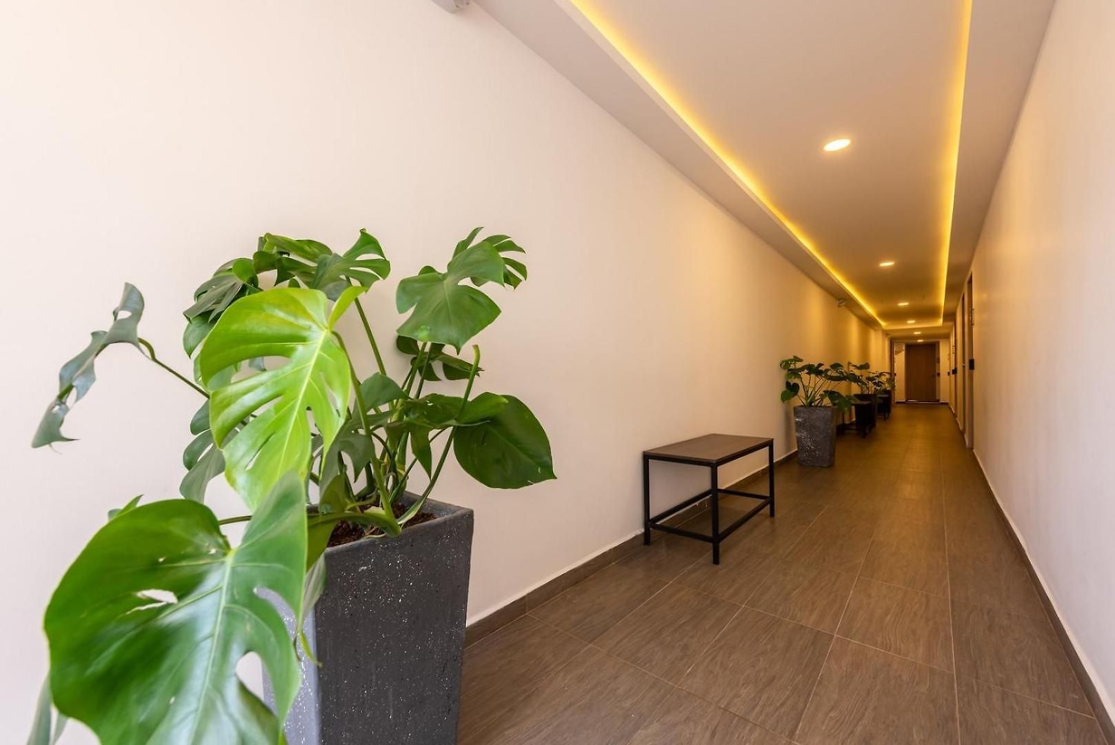 Apartamento Mare #208 - Bocagrande